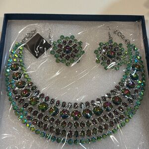 Elegant Multicolor Necklace and Earring Set